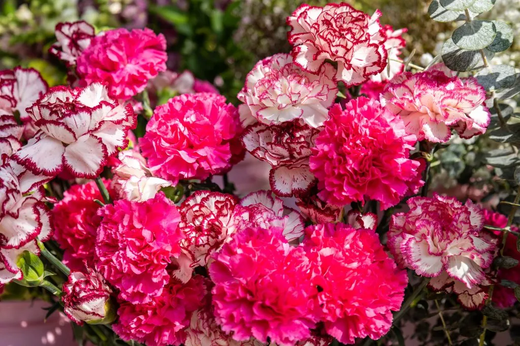 Pink Corner Florals flower cart